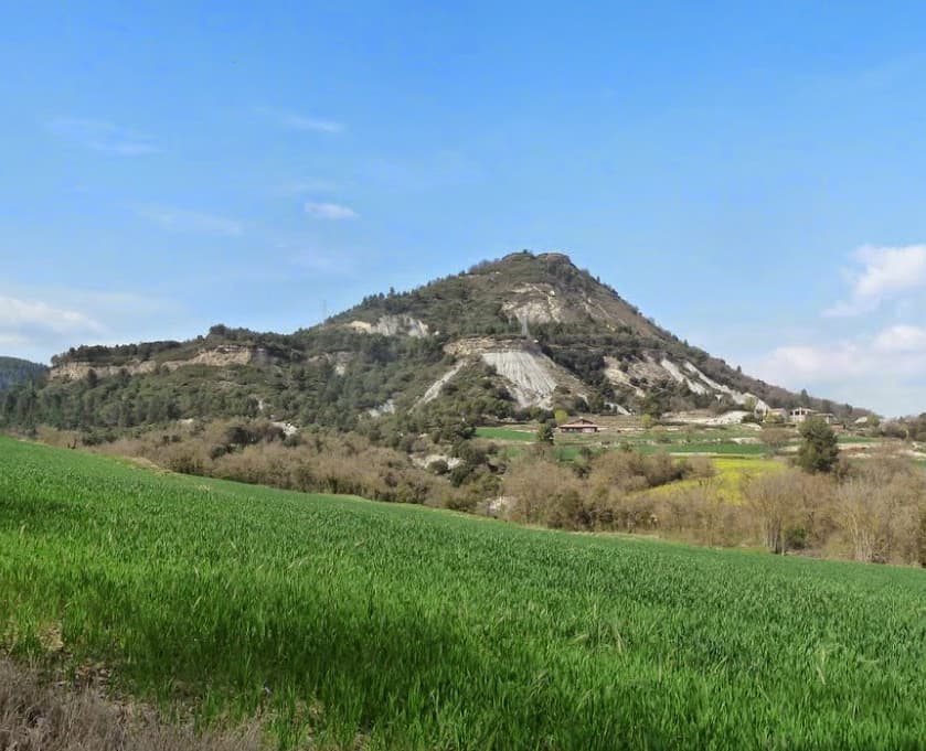 La Creu de Gurb i el Bosc Encantat